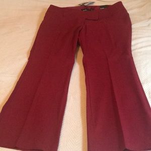 Studio by Torrid Red trouser 18W short